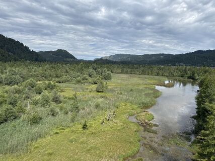 Foto von Grizzli entlang der Tour