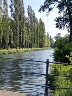 Photo de M. L. 7 le long du parcours