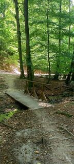 Foto de Irina Neyman a lo largo del recorrido