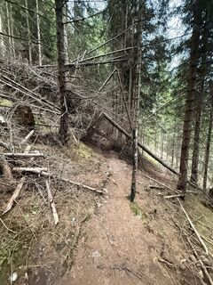 Foto von Martin Oberparleiter entlang der Tour