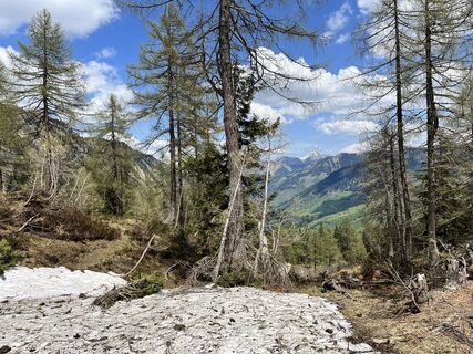 Foto von Kerstin Albrecht entlang der Tour
