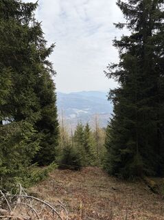 Fotografia z Mandy Friedrich na trase