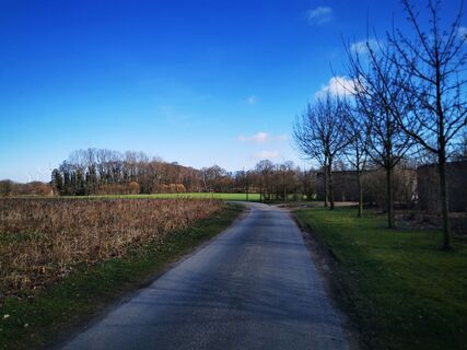 Offene Felder und Baumreihen an der Wanderroute