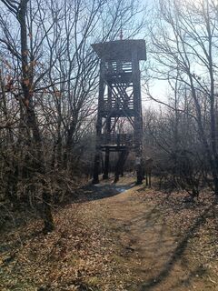 Foto fra Viktória Szabó undervejs på turen