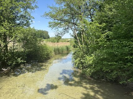 Photo de Norbert Grasberger le long du parcours