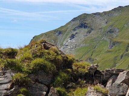 Fotografija s spletne strani Marie-Louise Kohn na poti