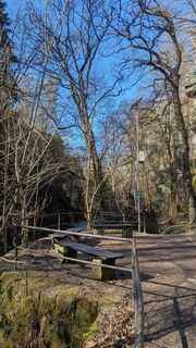 Foto von hochlandfamilie entlang der Tour