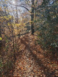Фото с сайта Björn Heun во время экскурсии