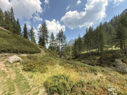 Foto von Koen De Wit entlang der Tour