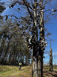 Zdjęcie z Peter Beck 3 wzdłuż trasy