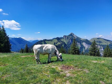 Photo de Tanja Trager le long du parcours