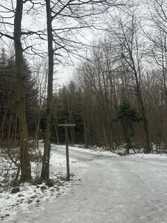 Zdjęcie z Arnold Gabor wzdłuż trasy