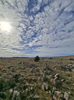 Zdjęcie z Boris Kerš wzdłuż trasy