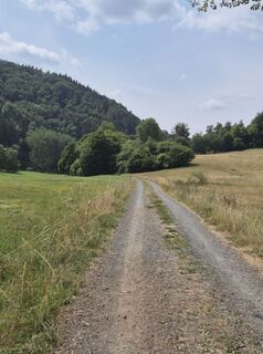 Foto von Anja Mohn-Gross entlang der Tour