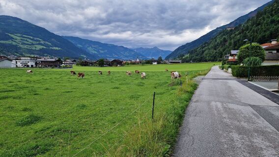 Fotografie de la Gerrit van der Linde de-a lungul turului