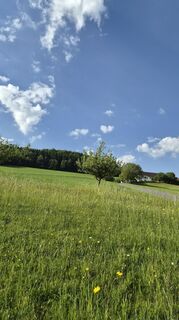 Foto de Thomas Reickersdorfer Reicki a lo largo del recorrido