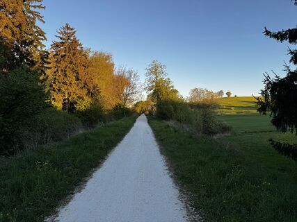Fotografija s spletne strani Schaali na poti