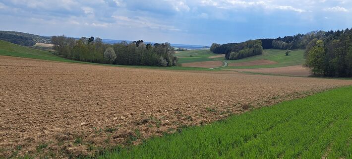 Photo de Dana Polak le long du parcours