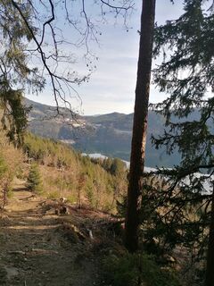 Foto von Dagmar Hofer entlang der Tour