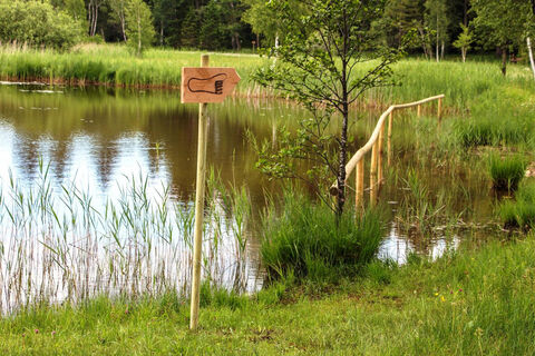 Themenweg - Barfußpfad - Soier See