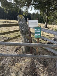 Photo de Luigi Läufer le long du parcours