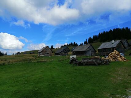 Photo de Christina Turnwald le long du parcours