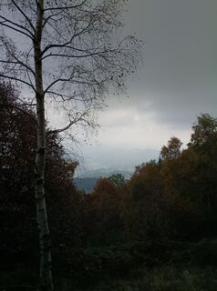 Foto de Greg+Lisa a lo largo del recorrido