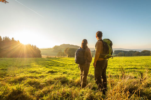 Herbstsonne beim Wandern rund um den Hochkelberg