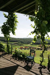 Gesamtsteirische Vinothek