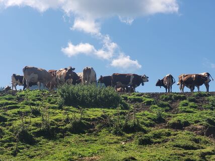 Foto von Frankie Kaemmerer entlang der Tour