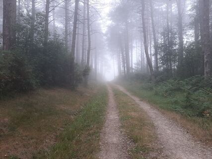 Foto von Niek Abbes entlang der Tour