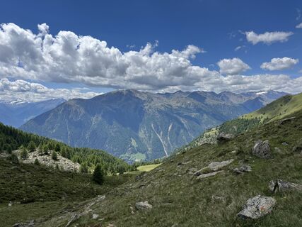 Foto von Gila entlang der Tour
