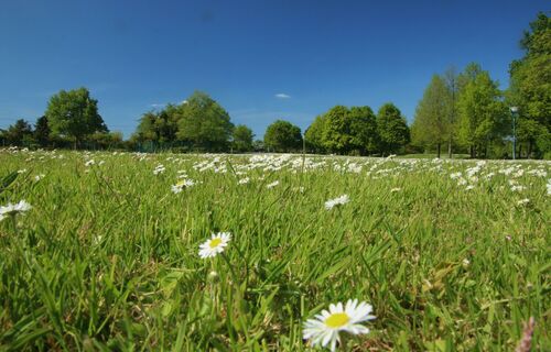 Gartenschaupark Hockenheim
