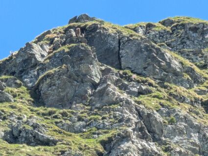 Foto von Jvanboe entlang der Tour