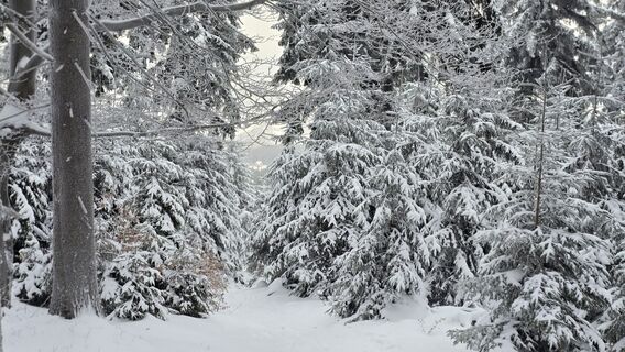 Foto von Katja Senkel entlang der Tour