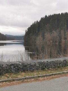 Foto von Waldläufer entlang der Tour