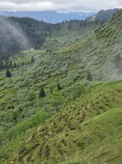 Photo de Gudrun Lippert le long du parcours