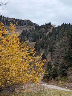 Photo de Anne be le long du parcours