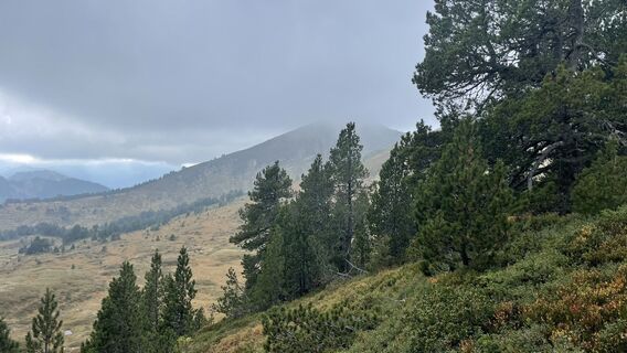 Foto von Peter Burki entlang der Tour