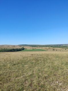 Fotografija s spletne strani Edit Szabó 1 na poti