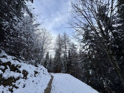 Fotografija s spletne strani Me Is na poti