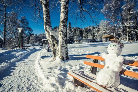 Winterlandschaft beim Titisee