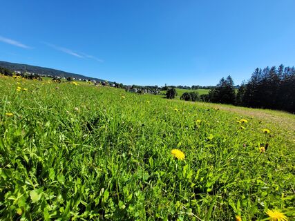 Wandern in Fischbach_Oststeiermark