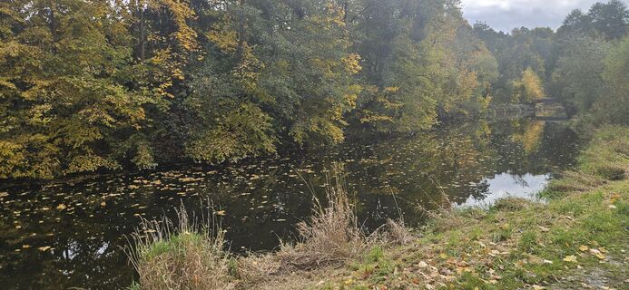 Fotografia z Berni_S na trase