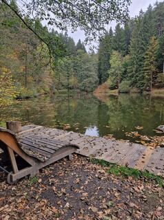 Foto von Janett Gotthardt entlang der Tour