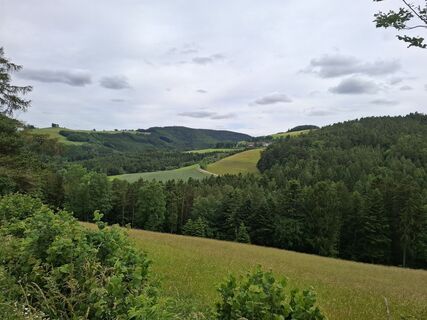 Foto de Markus Faustbeck 1 a lo largo del recorrido