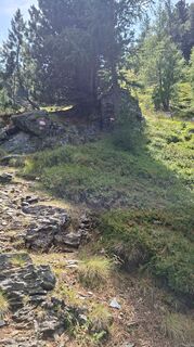 Photo de Jodeli le long du parcours
