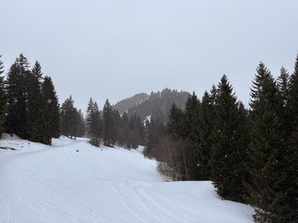 Foto von Doc44h entlang der Tour