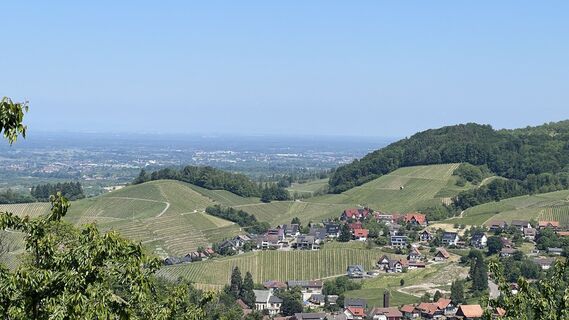 Fotografija s spletne strani Volki F. na poti