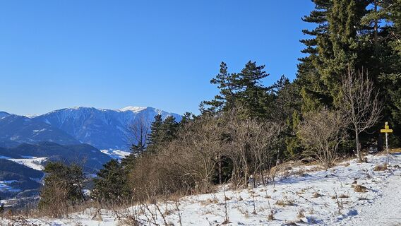 Zdjęcie z Klaus Wolfinger wzdłuż trasy